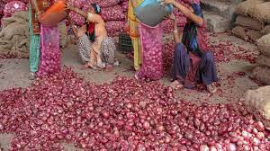 Centre Eases Tensions as Major Onion Market Remains Shut, Initiates Procurement