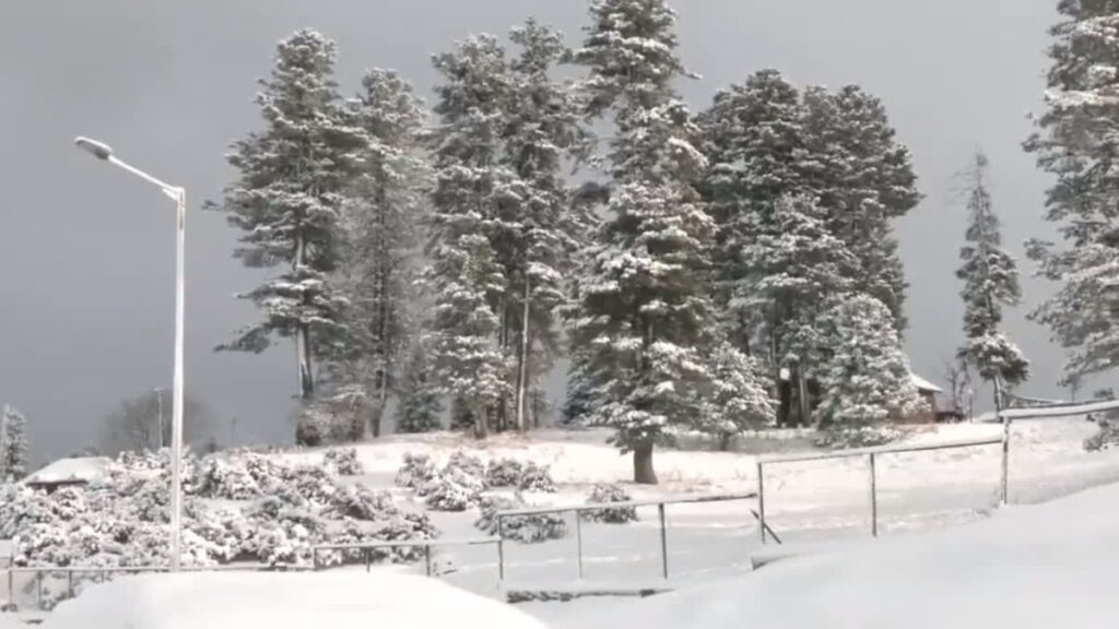 Snowfall Transforms Gulmarg into Enchanting Winter Getaway; Tourists Marvel at the Spectacle