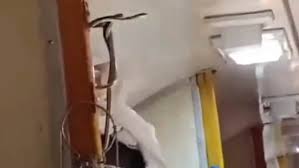 Panic Erupts as Snake Sighted on Train to Mumbai, Passengers Flee Their Seats